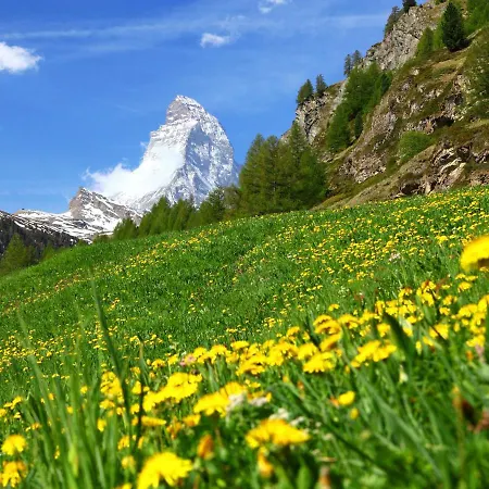 Lägenhet Viscaria-1 By Interhome Zermatt