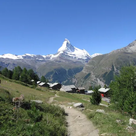 Viscaria.1 * Zermatt